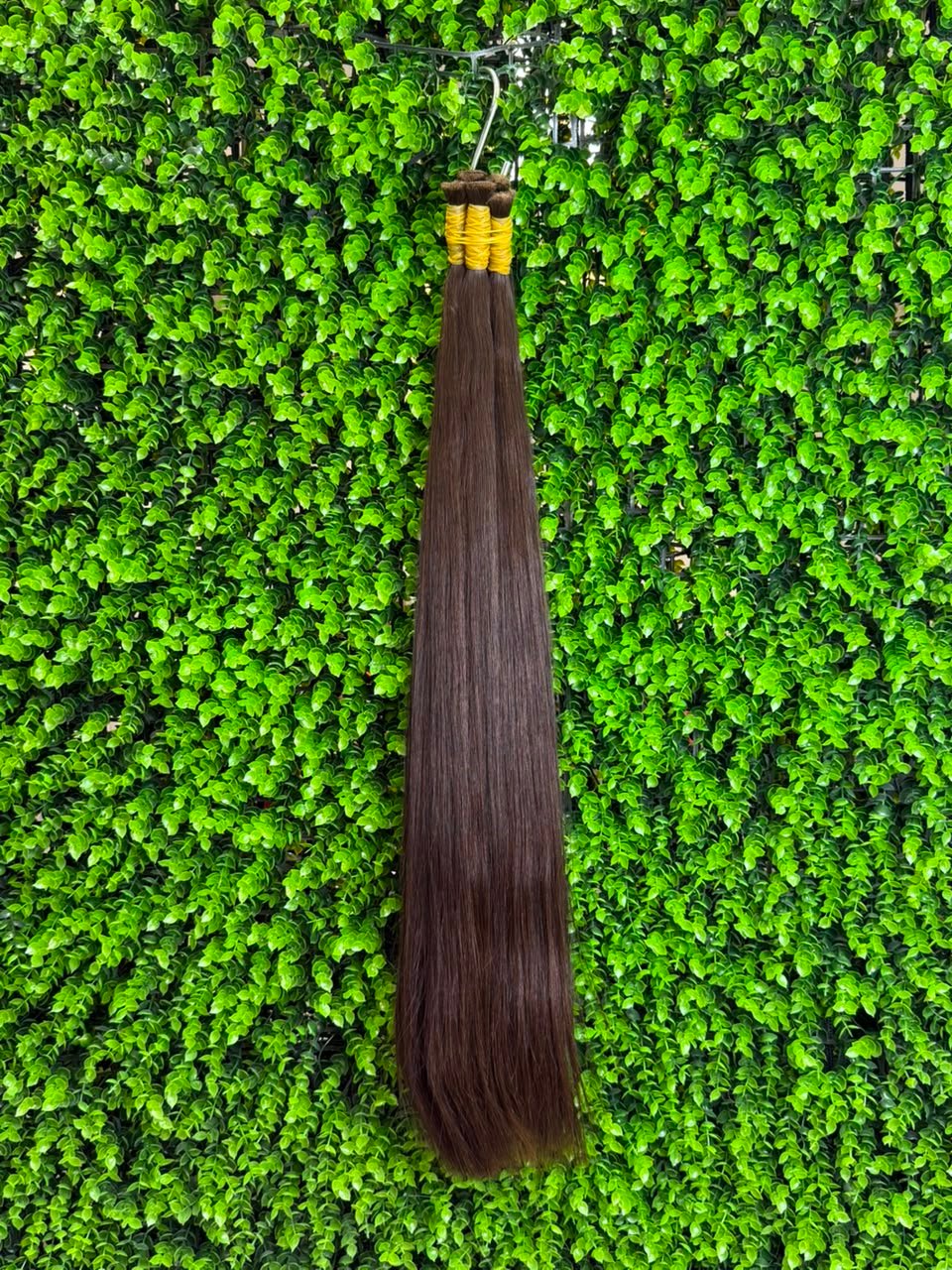 Vietnamese hair
